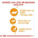 Picture of Royal Canin Intense Beauty Jelly Kedi Konservesi 85gr