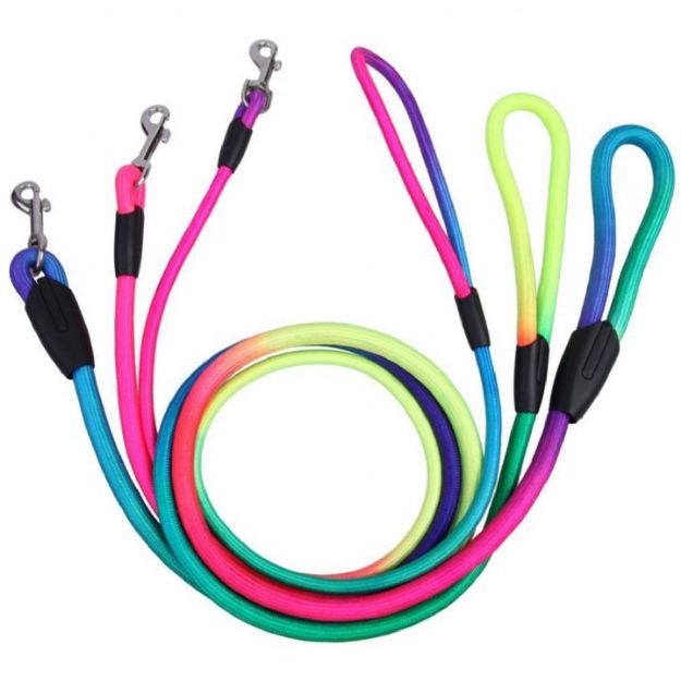 Picture of Maxi Life Renkli Fitil Köpek Gezdirme Kayışı 8 Mm 120 Cm