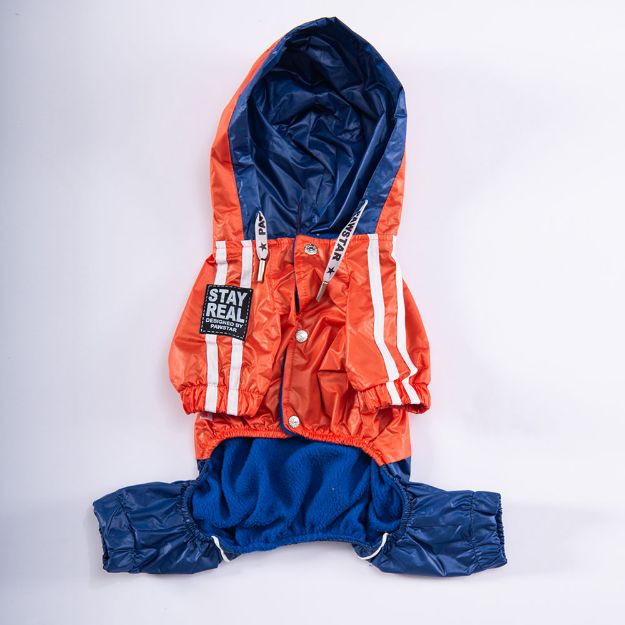 Picture of Pawstar Orange-Navy Blue Bicolor Big I 4xl