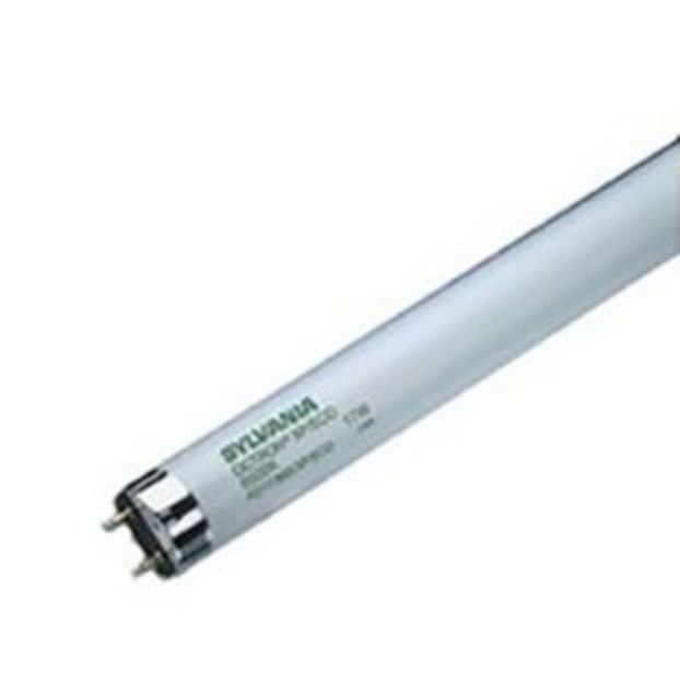 Picture of Sylvania Grolux T8 Akvaryum Lambası 36 watt