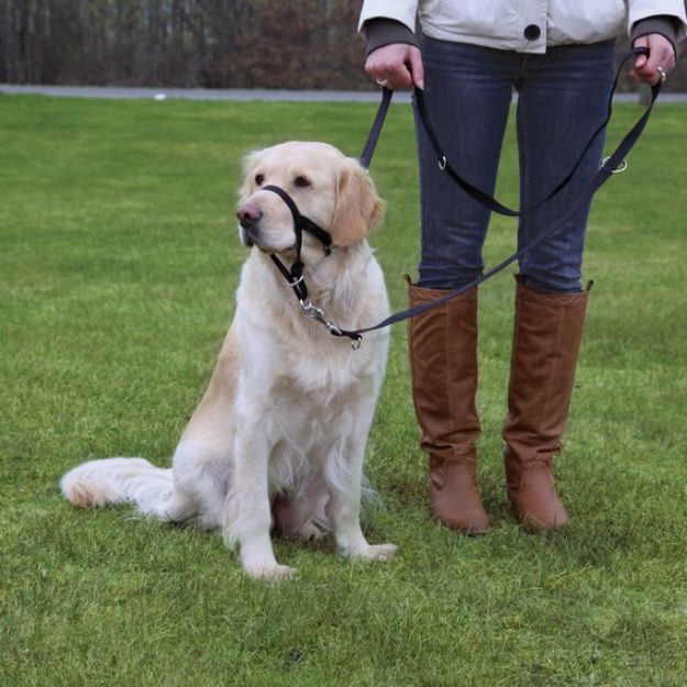 Picture of Trixie Uzman Köpek Göğüs Eğitim Tasması M 28 cm
