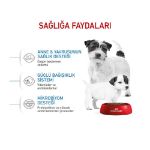 Picture of Royal Canin Mini Starter Mother & Babydog Küçük Irk Yavru Köpek Maması 4 Kg