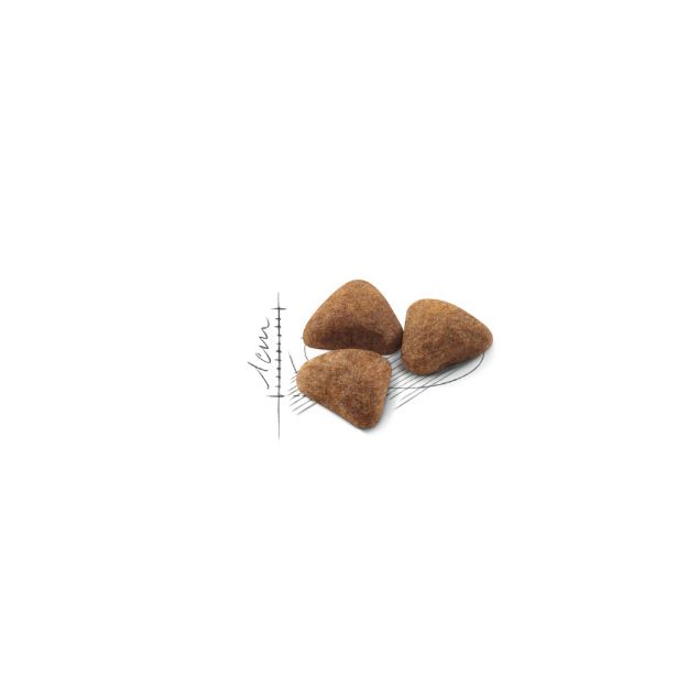 Picture of Royal Canin Indoor Yetişkin Kedi Maması 400Gr
