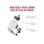 Picture of Royal Canin Babycat Yavru Kedi Maması 2Kg