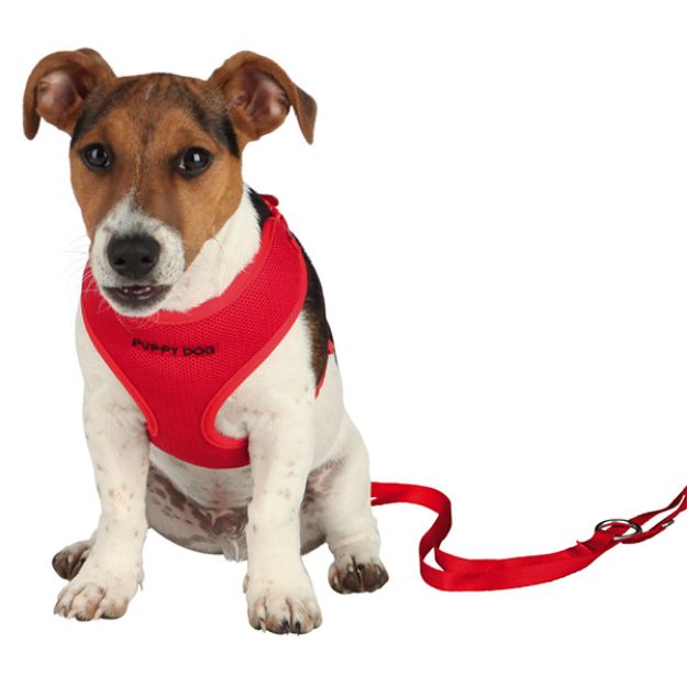 Picture of Trixie Yavru Köpek Göğüs Tasma & Kayışı, 33-47 cm / 2 mtr / 10 mm