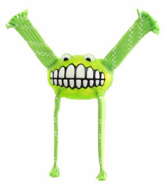 Picture of Rogz Flossy Grinz Sesli Köpek Oyuncak 23 cm Yeşil