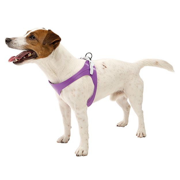 Picture of Ferplast Ergoflex Köpek Göğüs Tasması XSmall Yeşil