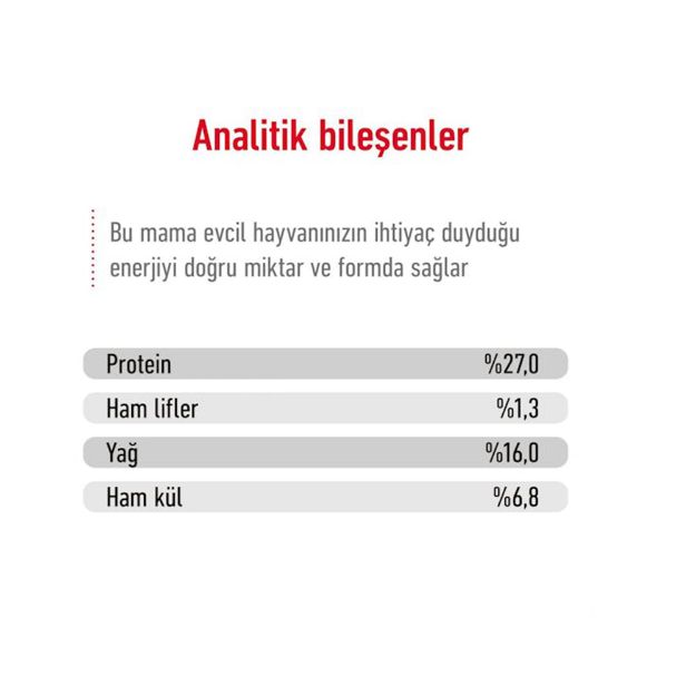 Picture of Royal Canin Mini Adult Yetişkin Köpek Maması 8Kg