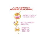 Picture of Royal Canin Kitten Persian Kedi Maması 2Kg