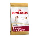 Picture of Royal Canin Cavalier Junior Yavru Köpek Maması 1.5 Kg