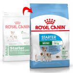 Picture of Royal Canin Mini Starter Küçük Irk Yavru Köpek Maması 3Kg