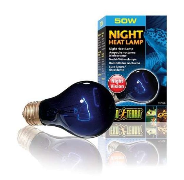 Picture of Exo Terra Night Glo 50 watt Moonlight Sürüngen Lambası