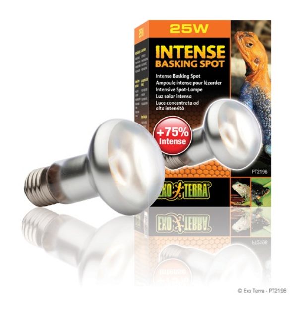 Picture of Exo Terra Intense Basking Spot Sürüngen İçin Lamba 25 watt