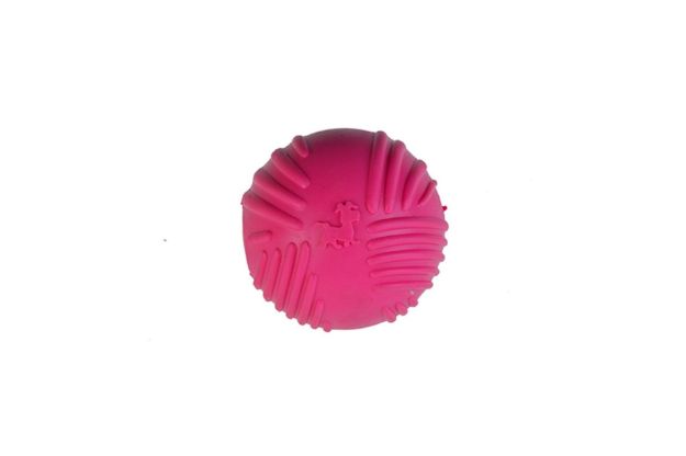 Picture of Zampa Köpekler İçin Sesli Top Oyuncak, 6.5cm	