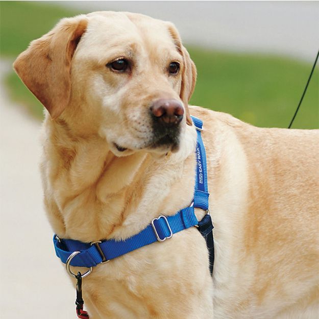 Picture of PetSafe Deluxe Easy Walk Harness Mavi Köpek Göğüs Tasması M/L 63-89 Cm
