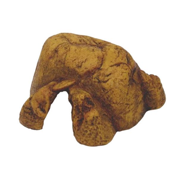 Picture of Exo Terra Sürüngen Mağarası Medium