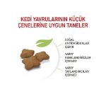 Picture of Royal Canin Kitten Sterilised Kısırlaştırılmış Yavru Kedi Maması 2 Kg