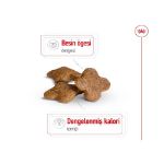 Picture of Royal Canin Mini Mature +8 Küçük Irk Yaşlı Köpek Maması 2Kg
