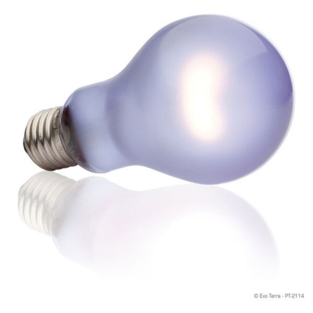 Picture of Exo Terra Day Glo Bulb Sürüngen İçin Lamba 150 watt