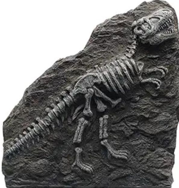 Picture of Marına Dekoratıf Fosıl T-Rex (21.6X22.9X4.6) 12325