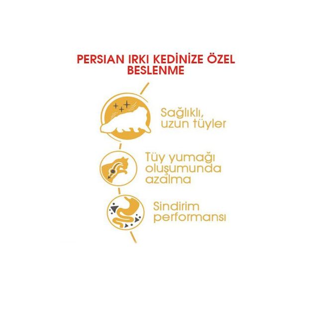 Picture of Royal Canin Persian Kedi Maması 2Kg