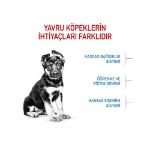 Picture of Royal Canin Maxi Junior Büyük Irk Yavru Köpek Maması 15Kg