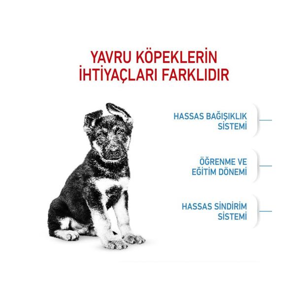 Picture of Royal Canin Maxi Junior Büyük Irk Yavru Köpek Maması 15Kg