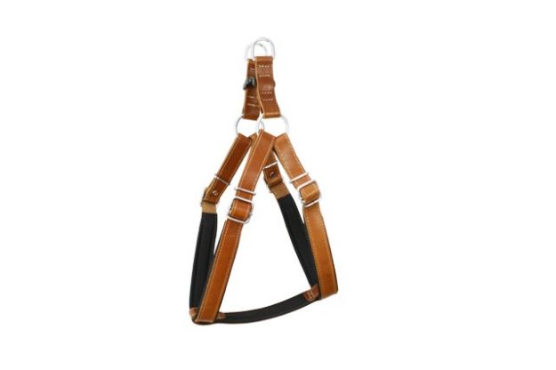 Picture of Doggie Ronin Model Comfort Deri Göğüs Tasması S 40-45 cm SGT-S