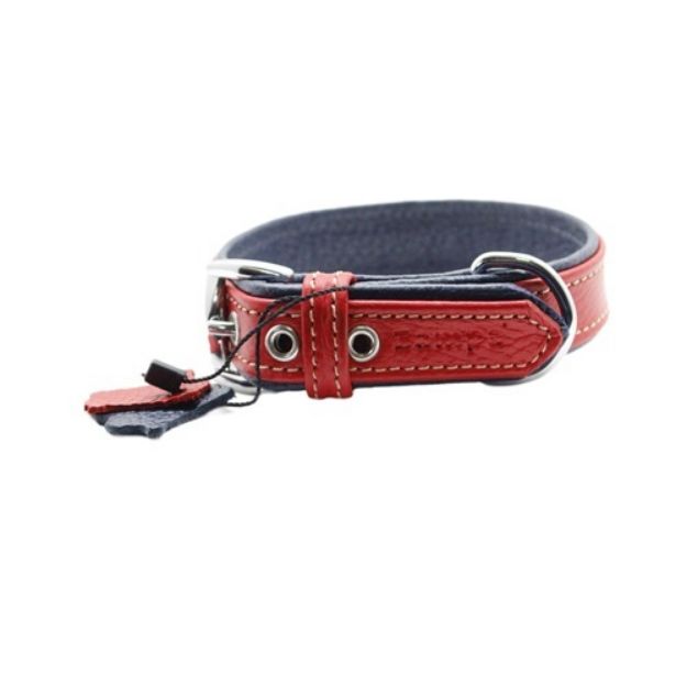 Picture of Zampa Yumuşak Dokulu Gerçek Deri Flatiron Köpek Boyun Tasması 3x54 cm cm, K