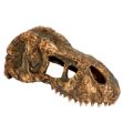 Picture of Exo Terra T-rex Kafatası Small