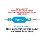 Picture of Royal Canin French Bulldog Junior Yavru Köpek Maması 3 Kg