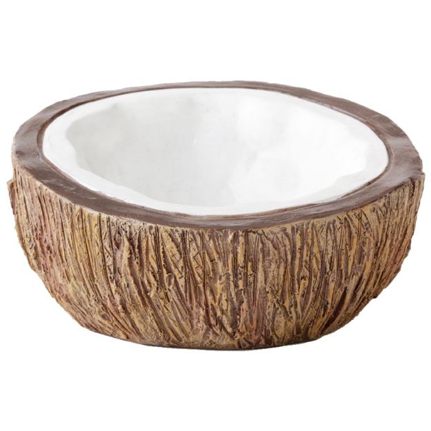 Picture of Exo Terra Ex Sürüngen Dekoru Coconut Su Kabı Water Dish