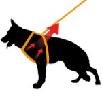 Picture of Ferplast Ergoflex Köpek Göğüs Tasması Small Mor