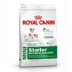 Picture of Royal Canin Mini Starter Küçük Irk Yavru Köpek Maması 3Kg