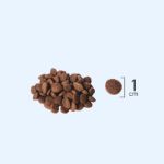 Picture of Natura LowGrain Sterilised Cat Food with Chicken,Turkey&Blueberry 2kg