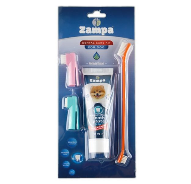 Picture of Zampa Köpekler İçin Diş Fırçalama Seti, 22cm-70gr