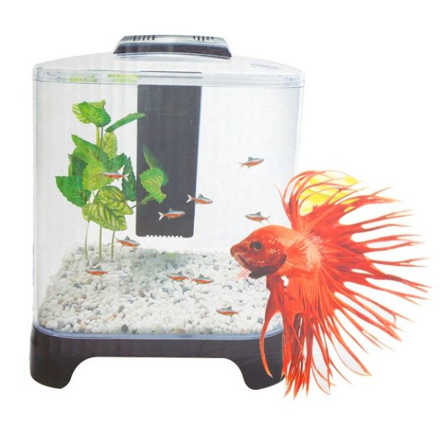 Picture of Dophin Filtre ve Led Aydınlatmalı Mini Plastik Akvaryum