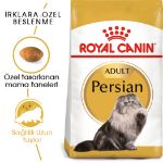 Picture of Royal Canin Persian Kedi Maması 10Kg