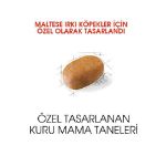 Picture of Royal Canin Maltese Terrier Köpek Maması 1.5Kg