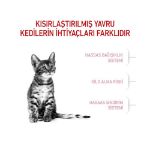 Picture of Royal Canin Kitten Sterilised Kısırlaştırılmış Yavru Kedi Maması 2 Kg