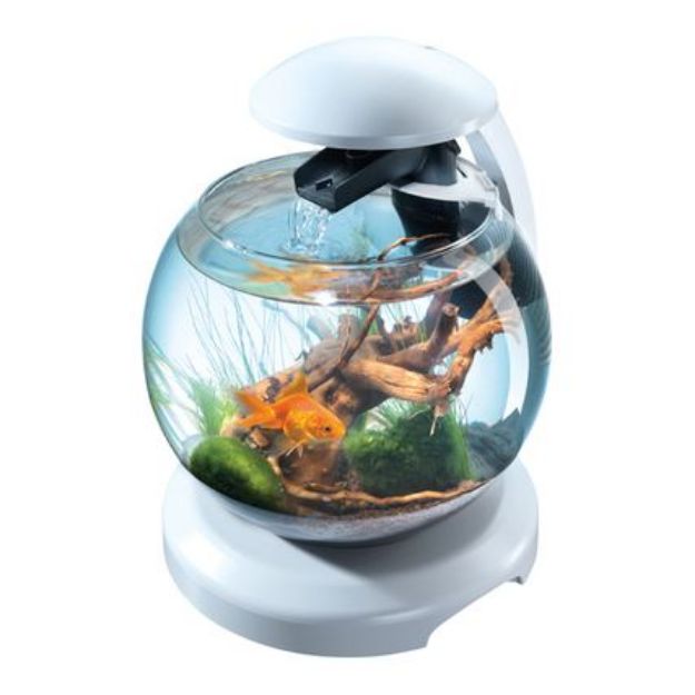 Picture of Tetra Cascade Globe Filtre ve Lambalı Fanus Beyaz