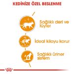 Picture of Royal Canin Intense Beauty Kedi Konservesi 85Gr