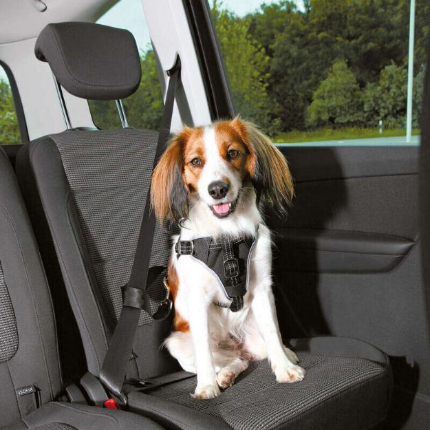 Picture of Trixie Köpek Emniyet Kemeri ve Göğüs Tasması, S-M:40-55cm/17mm, Siyah