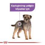 Picture of Royal Canin Sterilised Kısılaştırılmış Köpekler İçin Pouch Konserve 85 Gr