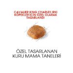 Picture of Royal Canin Cavalier King Charles Yetişkin Köpek Maması 1.5Kg