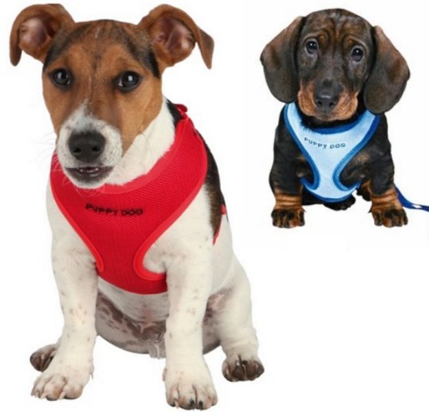 Picture of Trixie Yavru Köpek Göğüs Tasma ve Sevk Kayışı 23-34cm/2m/10mm