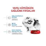 Picture of Royal Canin Mini İndoor Puppy Köpek Maması 1,5 kg
