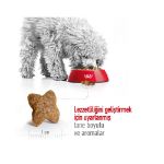 Picture of Royal Canin Mini Adult Yetişkin Köpek Maması 8Kg
