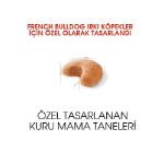 Picture of Royal Canin French Bulldog Yetişkin Köpek Maması 3 Kg