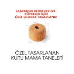 Picture of Royal Canin Labrador Yetişkin Köpek Maması 12Kg